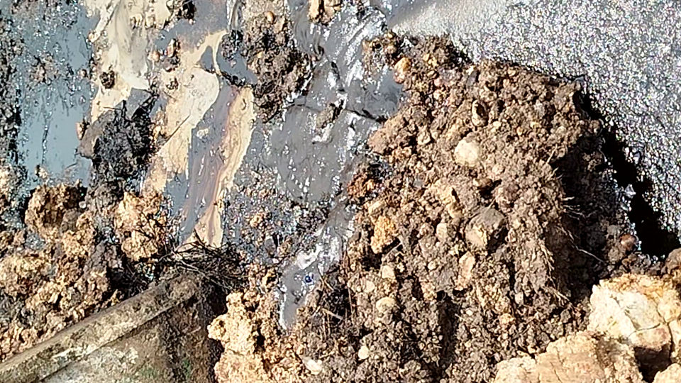 Enlace televisión barrancabermeja | noticias deportes y entretenimiento en santander