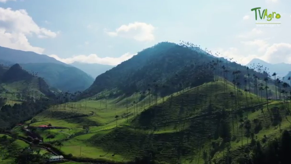 Enlace televisión barrancabermeja | noticias deportes y entretenimiento en santander