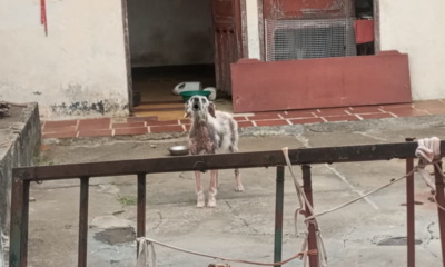 Enlace televisión barrancabermeja | noticias deportes y entretenimiento en santander