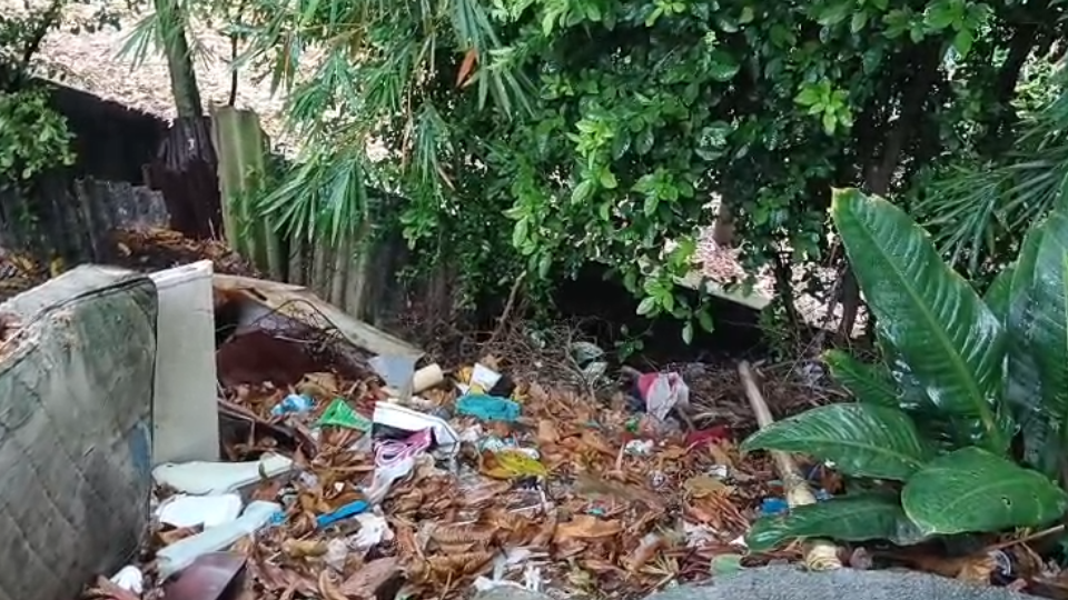 Enlace televisión barrancabermeja | noticias deportes y entretenimiento en santander