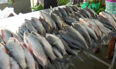 Enlace televisión barrancabermeja | noticias deportes y entretenimiento en santander