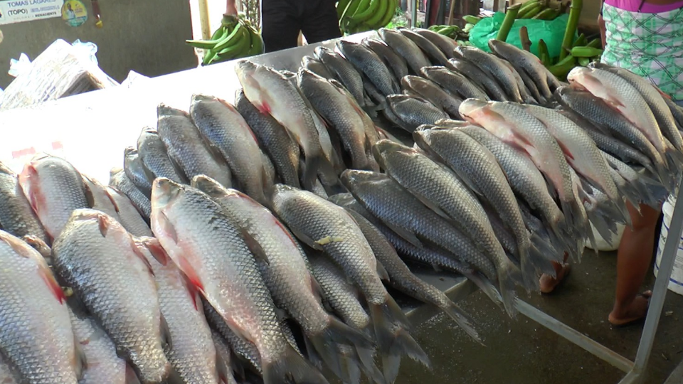 Enlace televisión barrancabermeja | noticias deportes y entretenimiento en santander