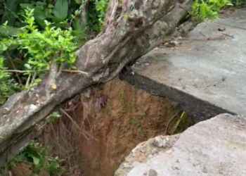 Enlace televisión barrancabermeja | noticias deportes y entretenimiento en santander