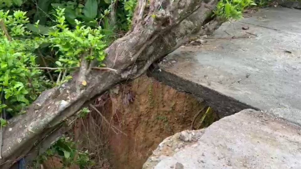 Enlace televisión barrancabermeja | noticias deportes y entretenimiento en santander