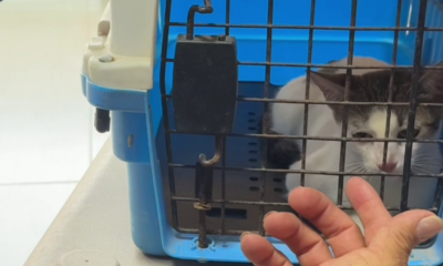 Enlace televisión barrancabermeja | noticias deportes y entretenimiento en santander