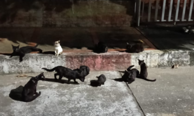 Enlace televisión barrancabermeja | noticias deportes y entretenimiento en santander