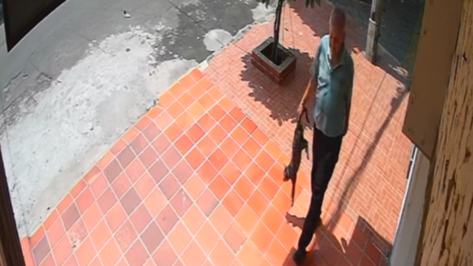 Enlace televisión barrancabermeja | noticias deportes y entretenimiento en santander