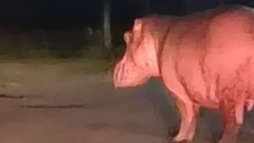 Enlace televisión barrancabermeja | noticias deportes y entretenimiento en santander