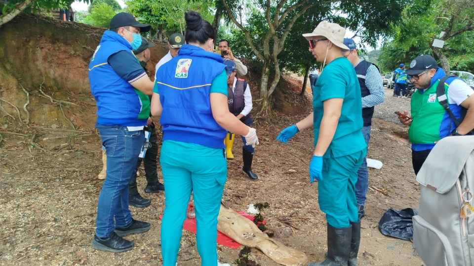 Enlace televisión barrancabermeja | noticias deportes y entretenimiento en santander
