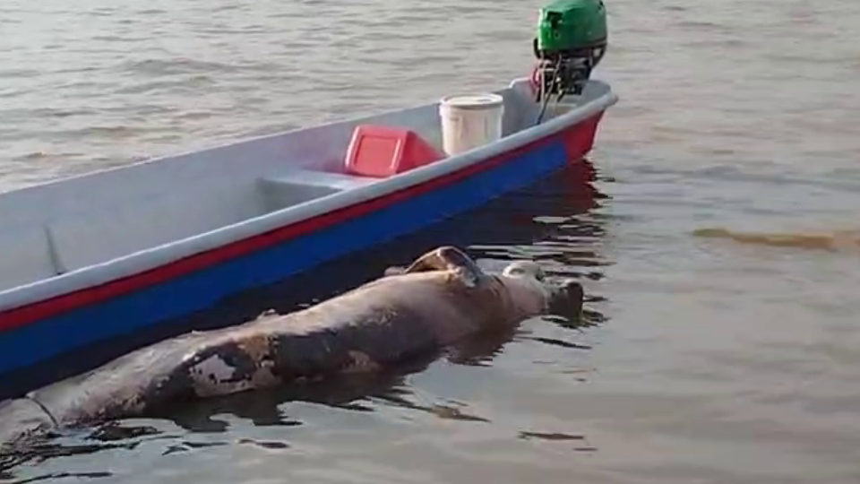 Enlace televisión barrancabermeja | noticias deportes y entretenimiento en santander