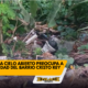 Enlace televisión barrancabermeja | noticias deportes y entretenimiento en santander