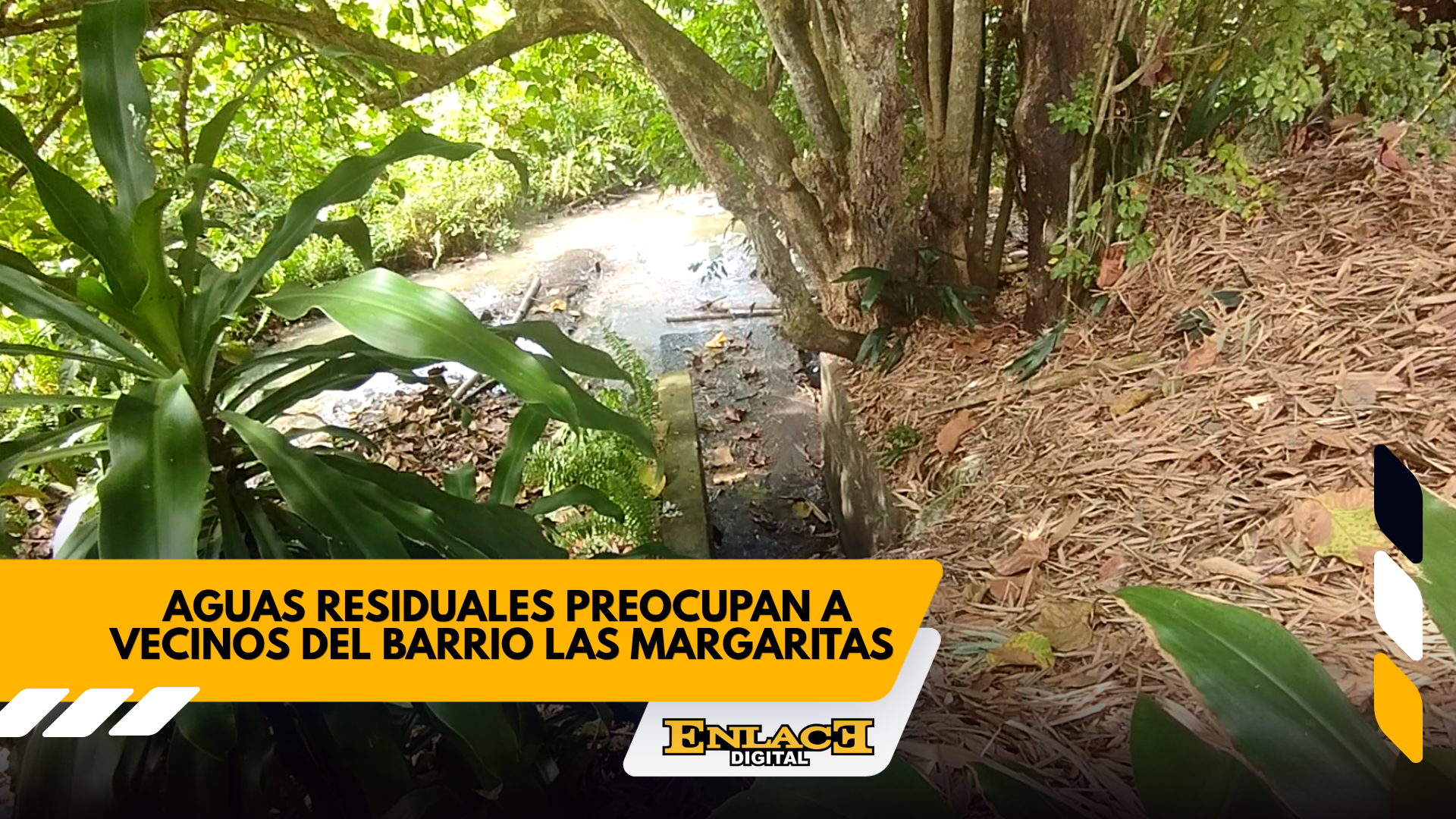 Enlace televisión barrancabermeja | noticias deportes y entretenimiento en santander