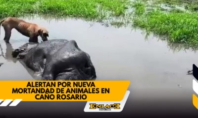 Enlace televisión barrancabermeja | noticias deportes y entretenimiento en santander