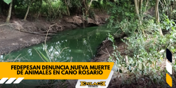 Enlace televisión barrancabermeja | noticias deportes y entretenimiento en santander