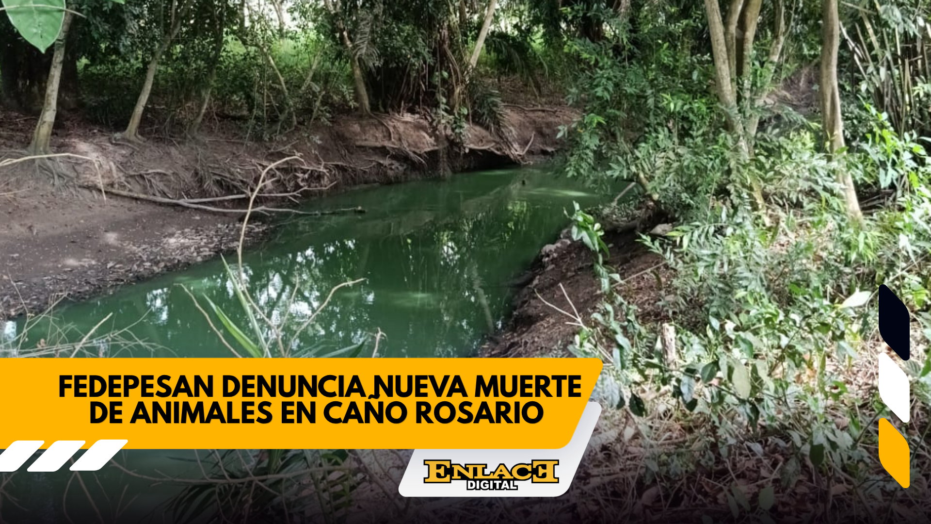 Enlace televisión barrancabermeja | noticias deportes y entretenimiento en santander