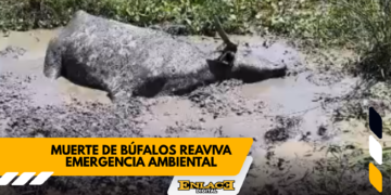 Enlace televisión barrancabermeja | noticias deportes y entretenimiento en santander