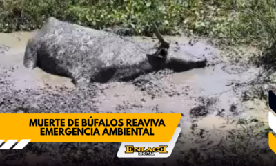 Enlace televisión barrancabermeja | noticias deportes y entretenimiento en santander