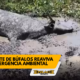 Enlace televisión barrancabermeja | noticias deportes y entretenimiento en santander