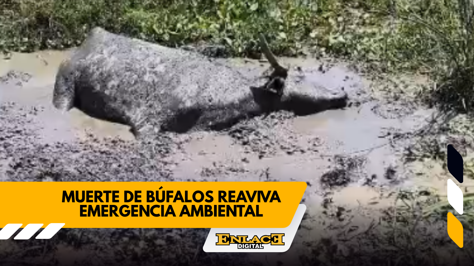 Enlace televisión barrancabermeja | noticias deportes y entretenimiento en santander