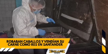 Enlace televisión barrancabermeja | noticias deportes y entretenimiento en santander
