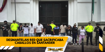 Enlace televisión barrancabermeja | noticias deportes y entretenimiento en santander