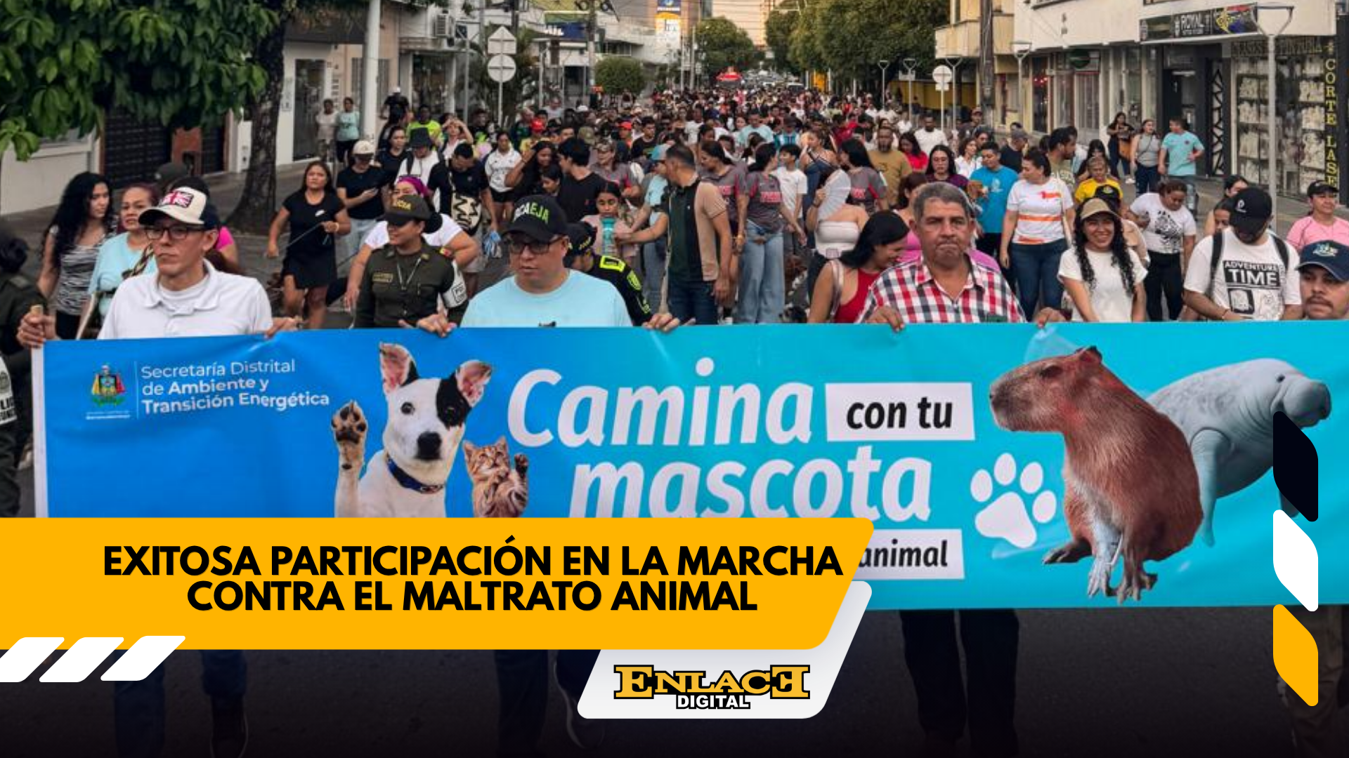 Enlace televisión barrancabermeja | noticias deportes y entretenimiento en santander