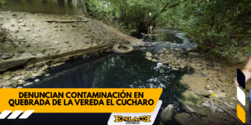 Enlace televisión barrancabermeja | noticias deportes y entretenimiento en santander