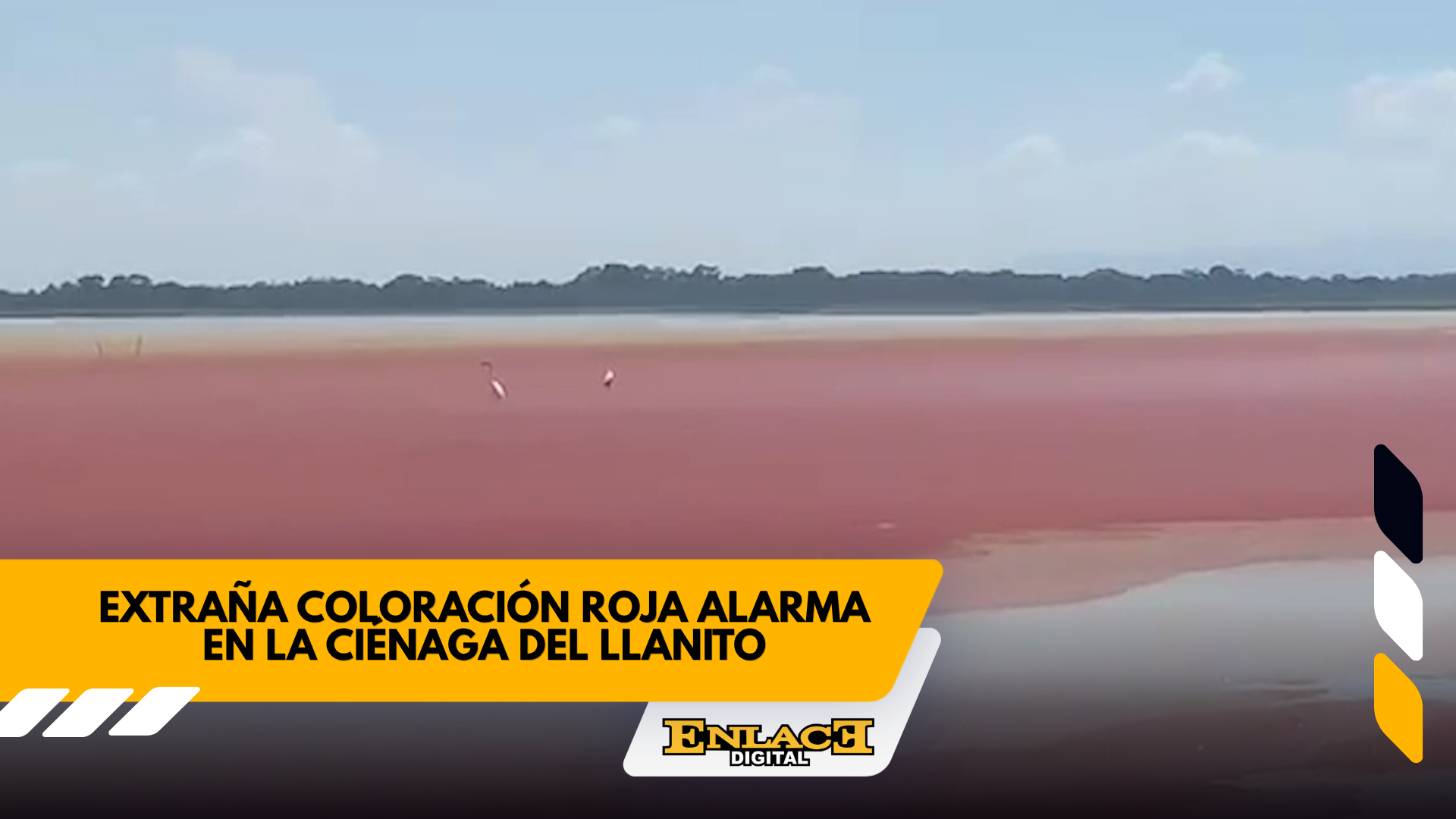 Enlace televisión barrancabermeja | noticias deportes y entretenimiento en santander