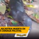 Enlace televisión barrancabermeja | noticias deportes y entretenimiento en santander