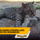 Enlace televisión barrancabermeja | noticias deportes y entretenimiento en santander