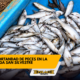 Enlace televisión barrancabermeja | noticias deportes y entretenimiento en santander