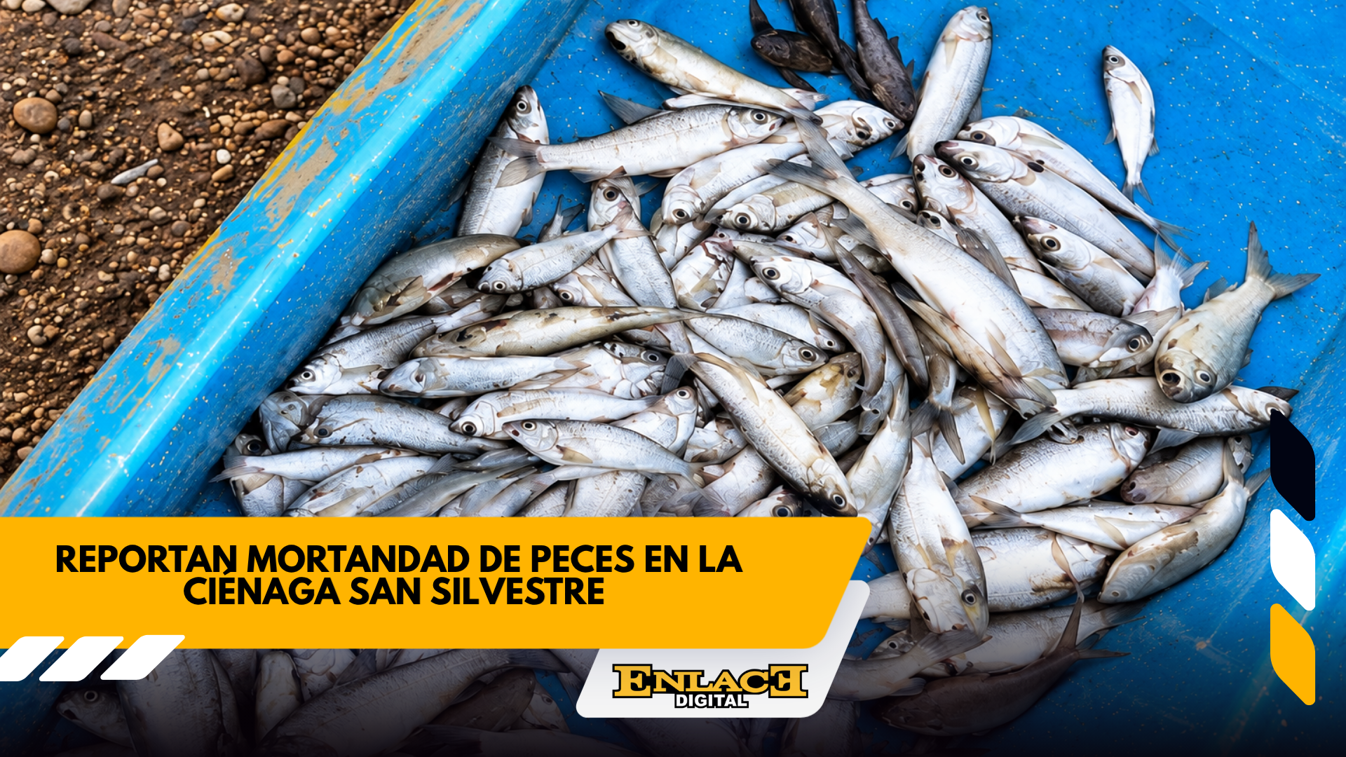 Enlace televisión barrancabermeja | noticias deportes y entretenimiento en santander