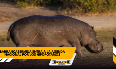 Enlace televisión barrancabermeja | noticias deportes y entretenimiento en santander