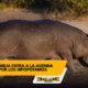 Enlace televisión barrancabermeja | noticias deportes y entretenimiento en santander