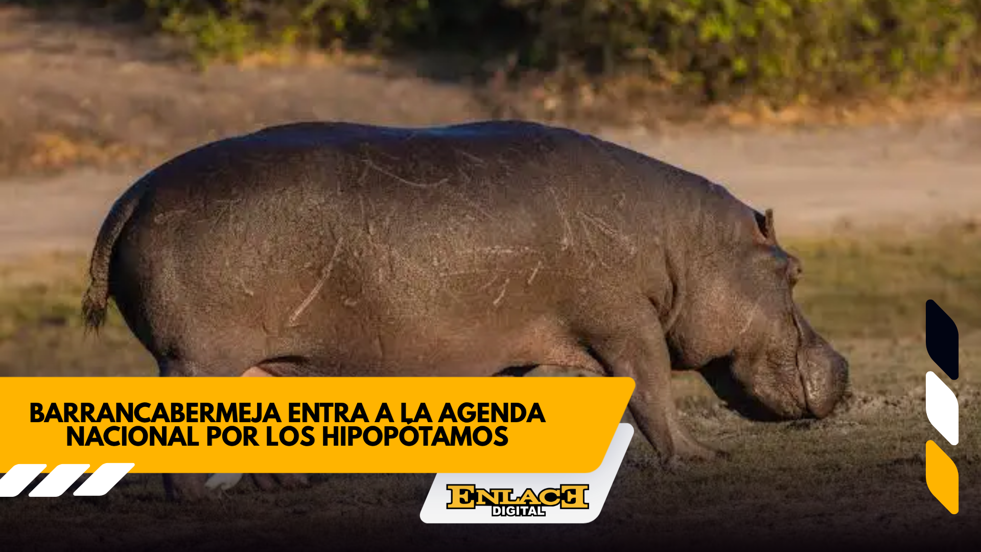 Enlace televisión barrancabermeja | noticias deportes y entretenimiento en santander