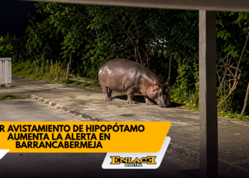 Enlace televisión barrancabermeja | noticias deportes y entretenimiento en santander