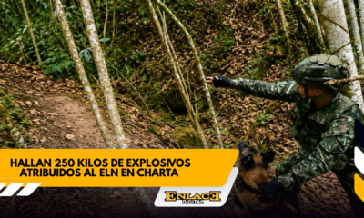 Enlace televisión barrancabermeja | noticias deportes y entretenimiento en santander