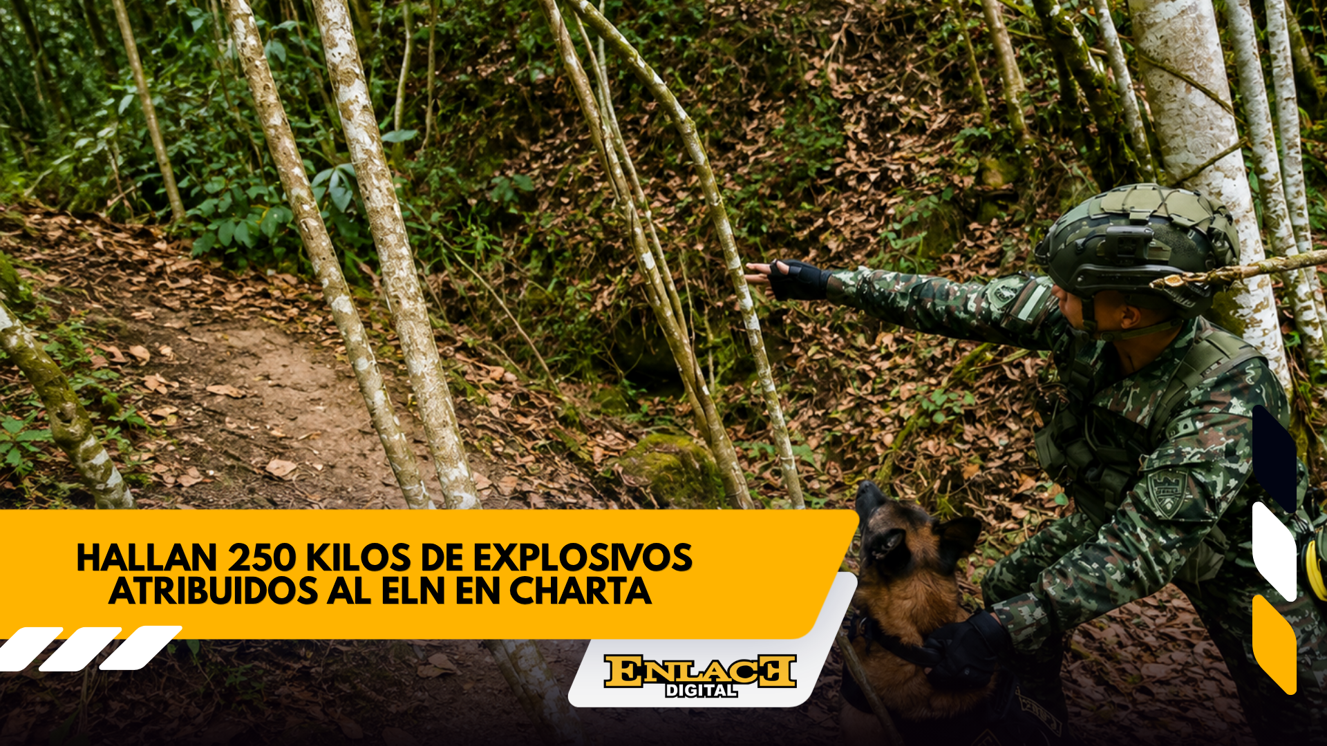 Enlace televisión barrancabermeja | noticias deportes y entretenimiento en santander