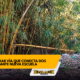 Pagina web uso enlace televisión barrancabermeja | noticias deportes y entretenimiento en santander Comunidad pide recuperar vía clave para nueva escuela enlace televisión barrancabermeja | noticias deportes y entretenimiento en santander
