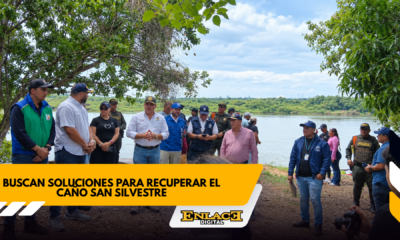 Buscan recuperar el caño san silvestre y proteger su fauna   enlace televisión barrancabermeja | noticias deportes y entretenimiento en santander