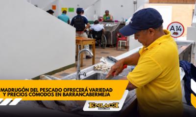 Barrancabermeja tendrá madrugón del pescado este sábado   enlace televisión barrancabermeja | noticias deportes y entretenimiento en santander