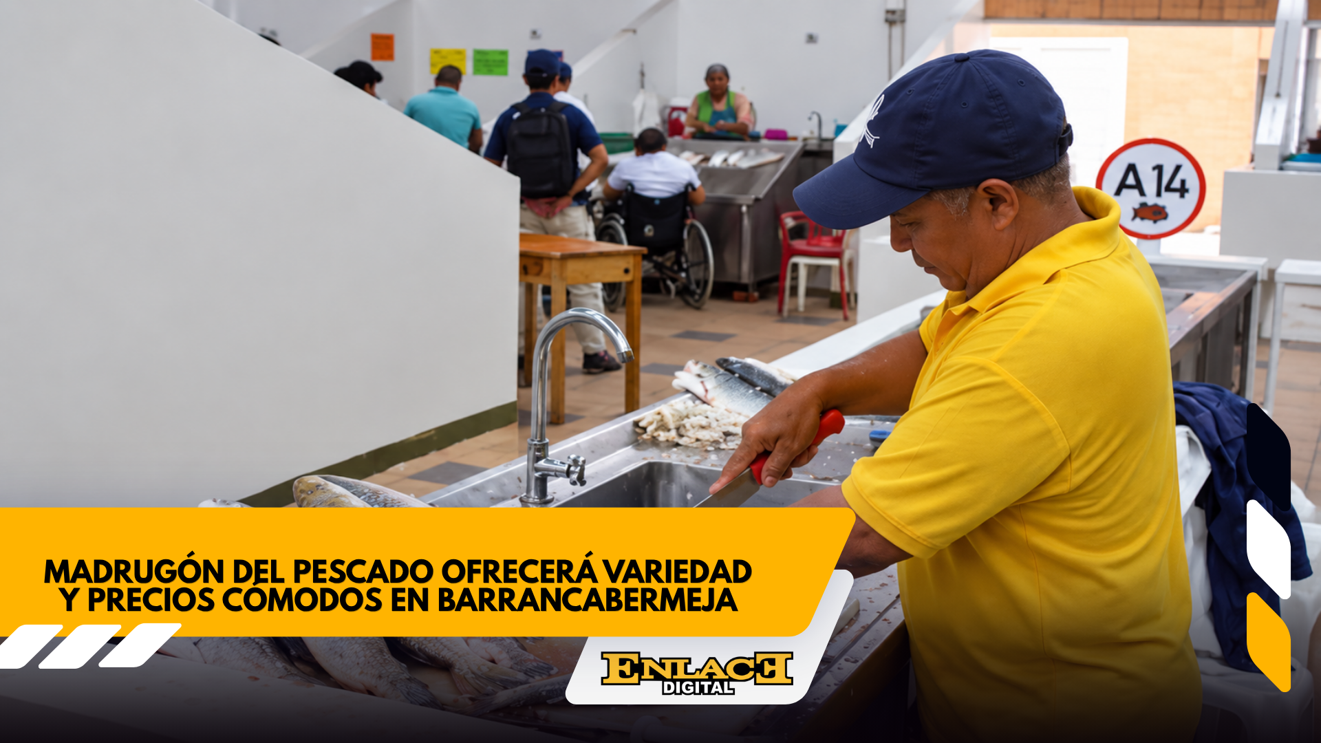 Barrancabermeja tendrá madrugón del pescado este sábado   enlace televisión barrancabermeja | noticias deportes y entretenimiento en santander